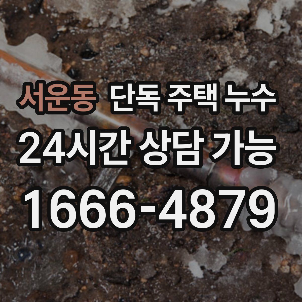 서운동 단독 주택 누수