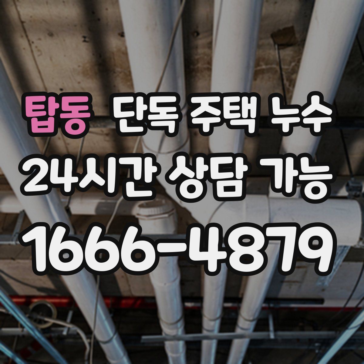 탑동 단독 주택 누수