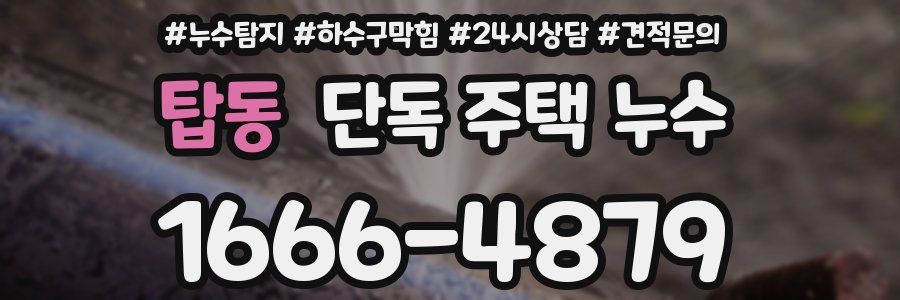 탑동 단독 주택 누수