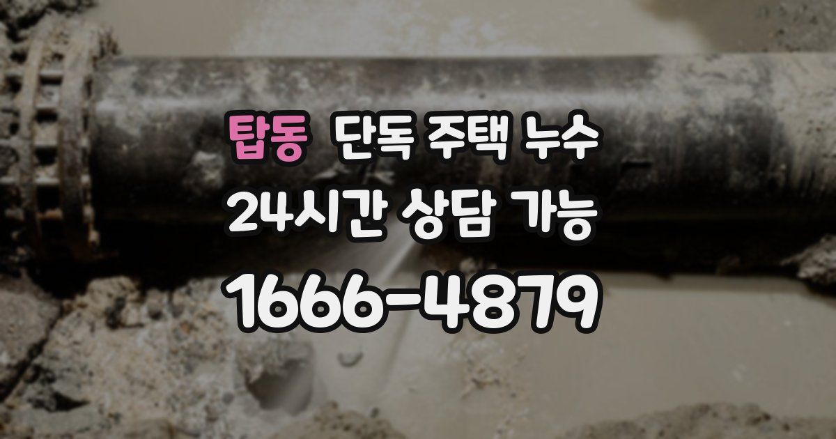 탑동 단독 주택 누수