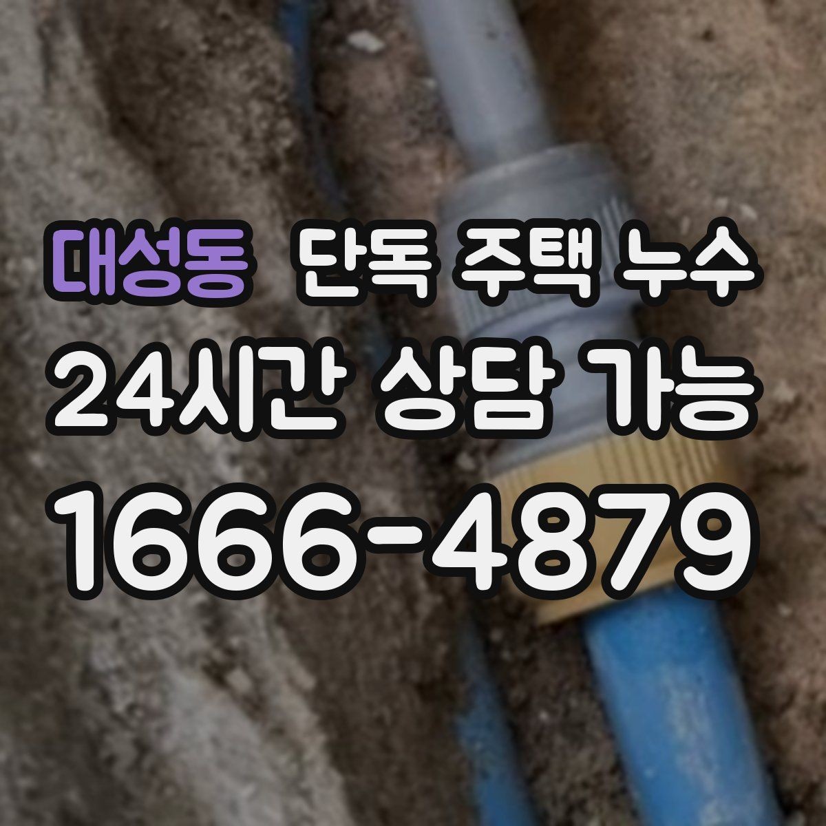 대성동 단독 주택 누수 주방 쪽만 젖을 때 배관 가능성