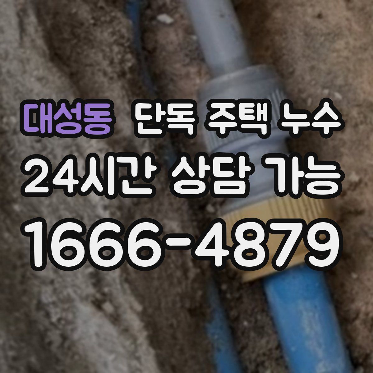 대성동 단독 주택 누수