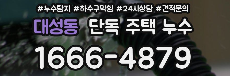 대성동 단독 주택 누수