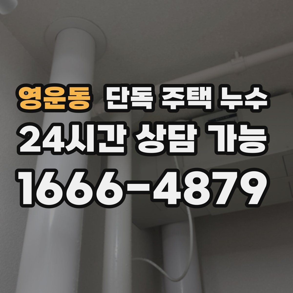 영운동 단독 주택 누수 집 전체가 축축할 때 배수 문제 의심하기