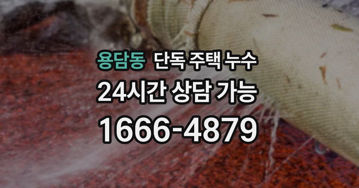 용담동 단독 주택 누수