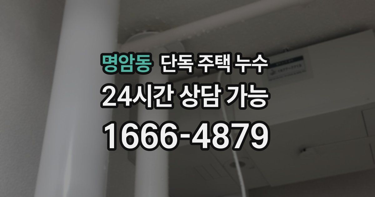 명암동 단독 주택 누수