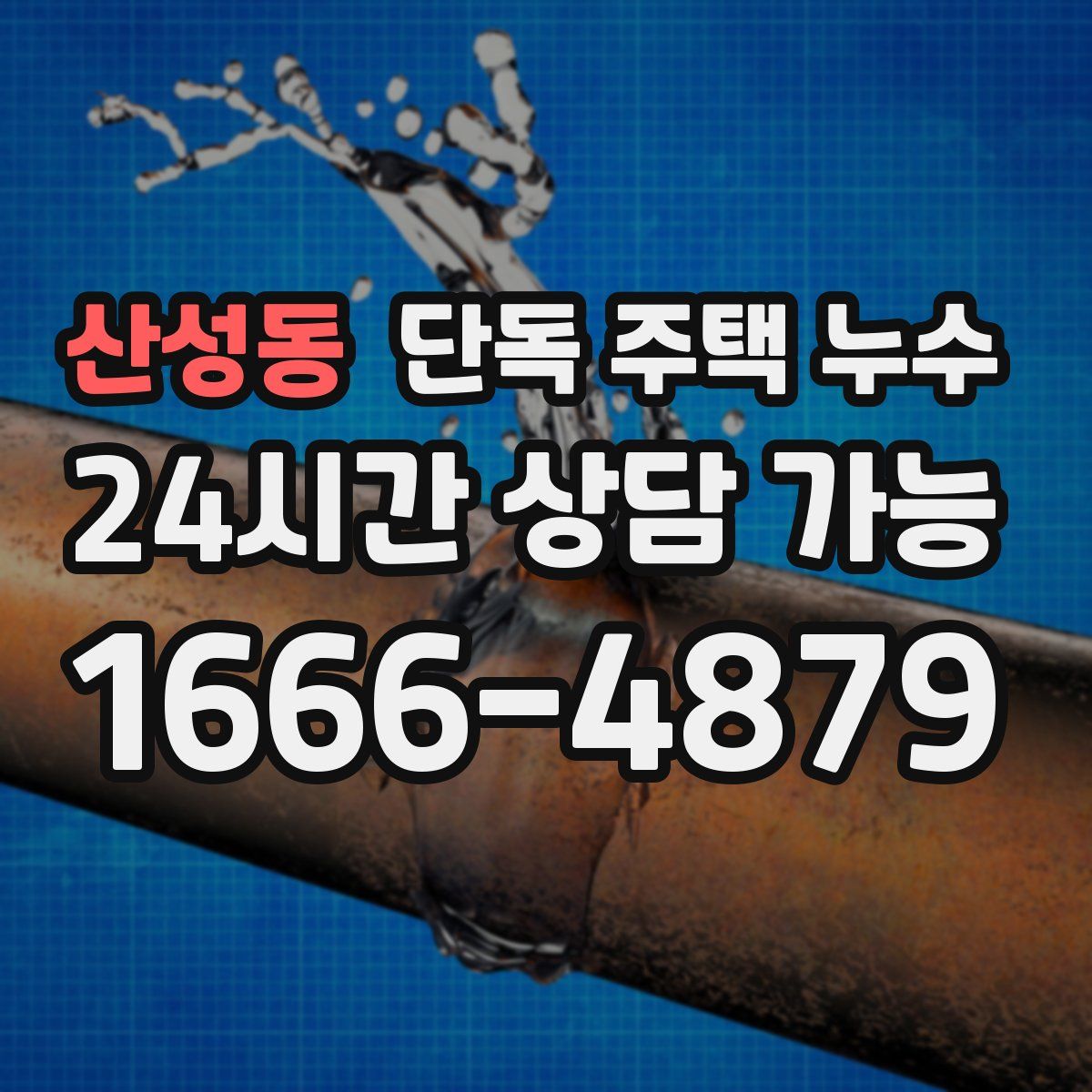 산성동 단독 주택 누수