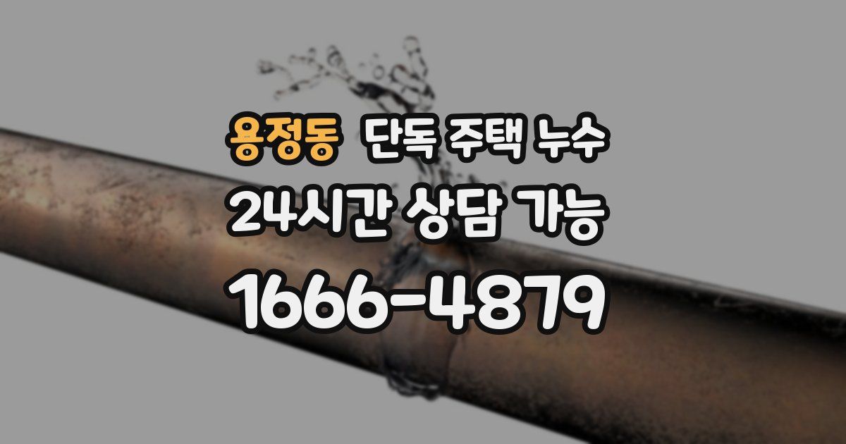 용정동 단독 주택 누수