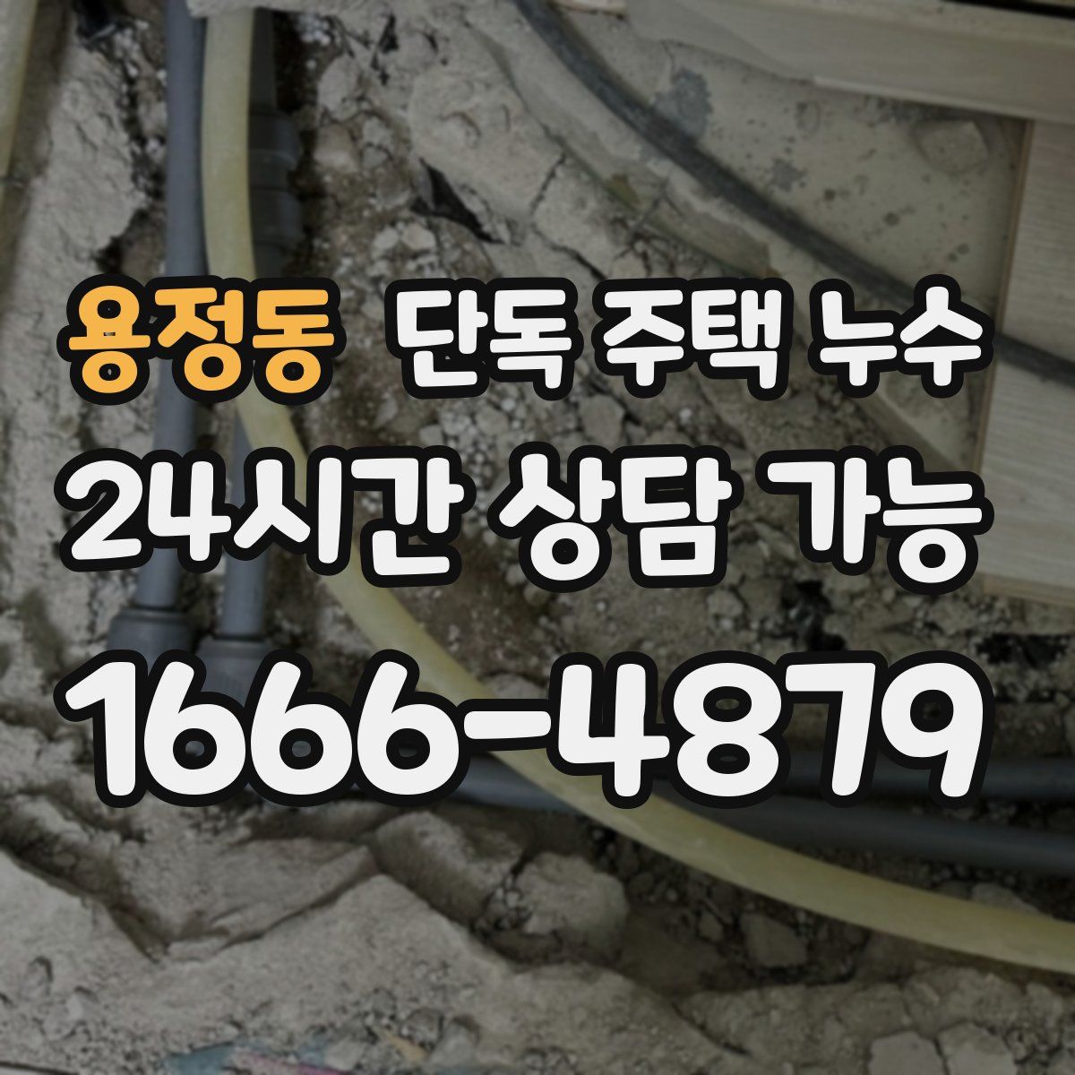 용정동 단독 주택 누수