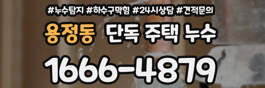 용정동 단독 주택 누수