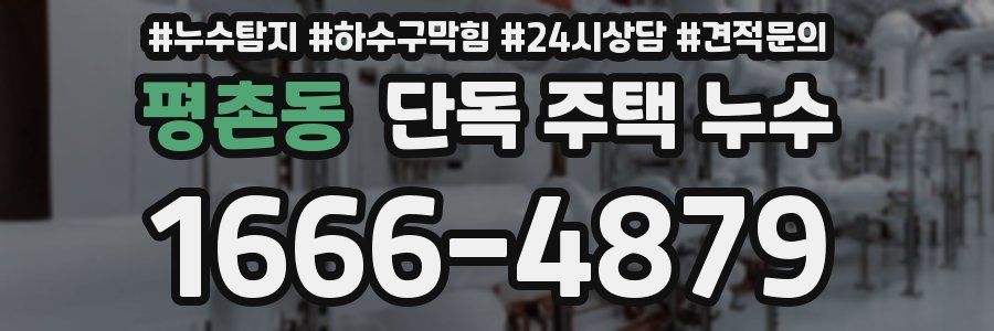 평촌동 단독 주택 누수