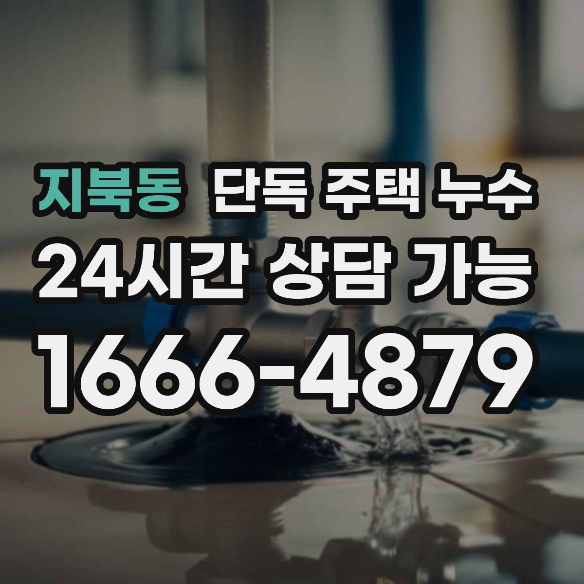지북동 단독 주택 누수 평소에도 젖으면 체크해야 할 지점