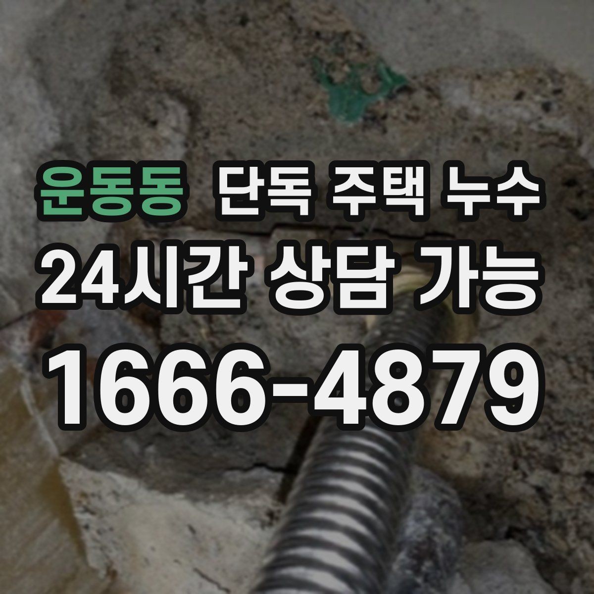 운동동 단독 주택 누수 낙엽으로 홈통이 막히면 생기는 문제
