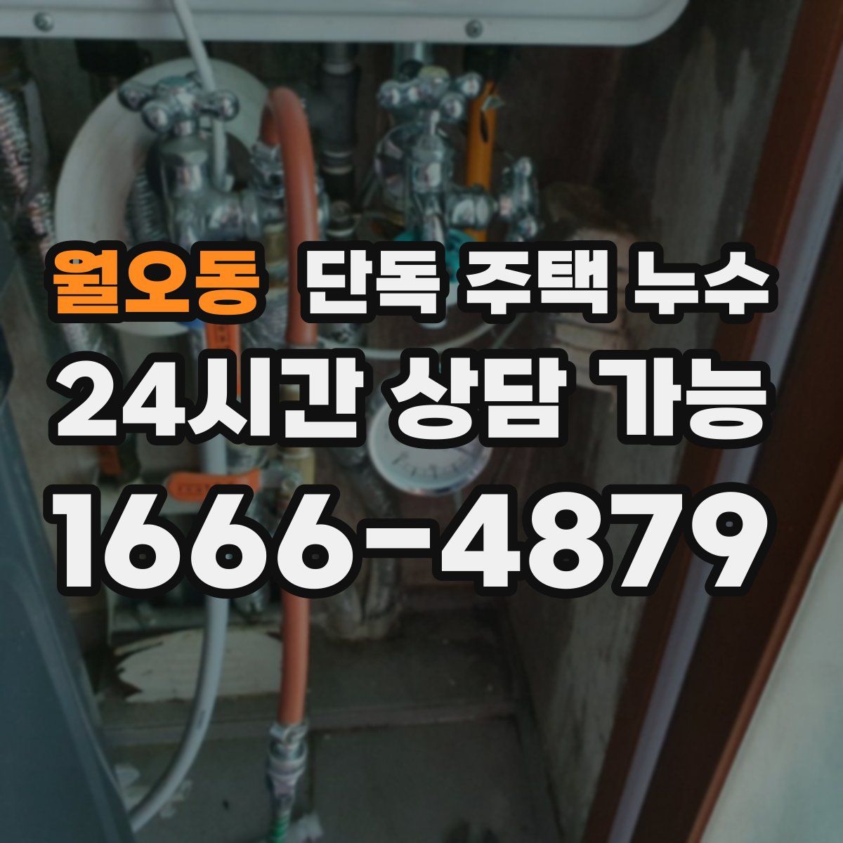 월오동 단독 주택 누수