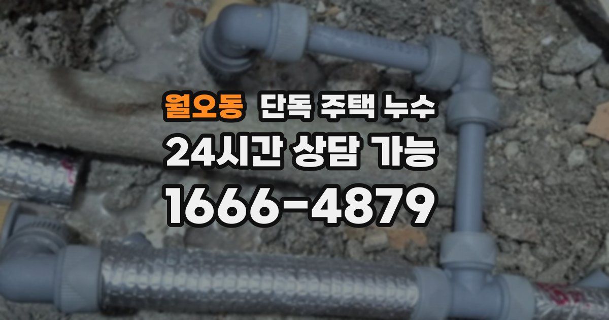 월오동 단독 주택 누수