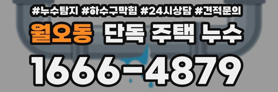 월오동 단독 주택 누수