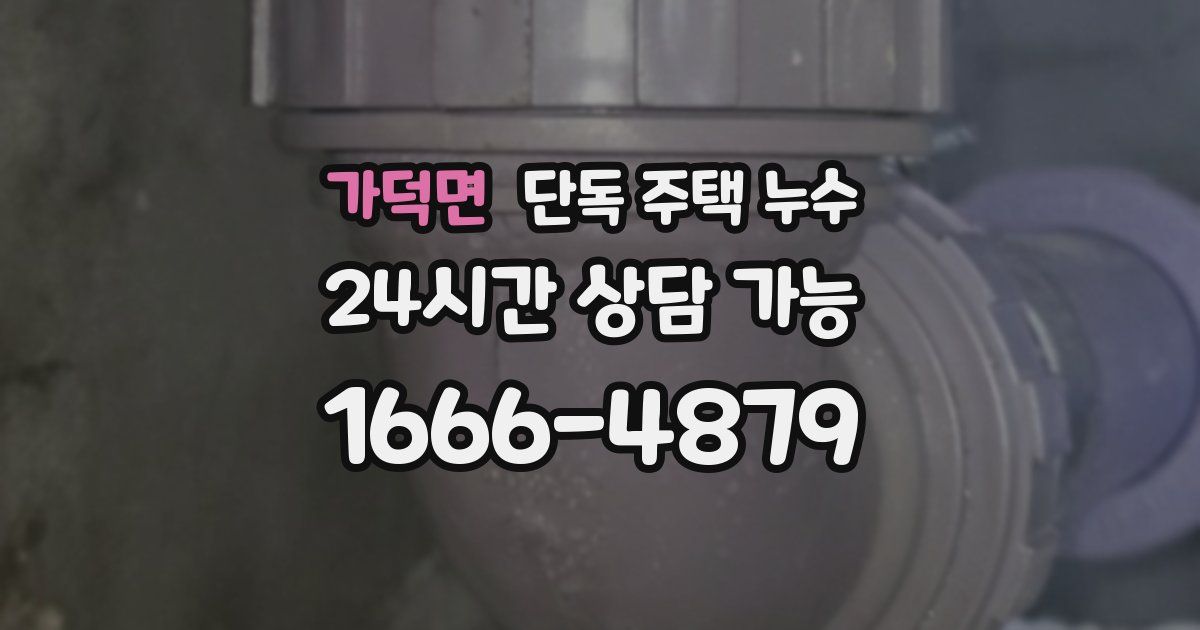 가덕면 단독 주택 누수