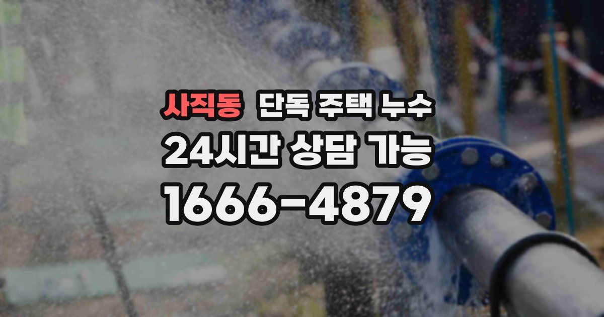 사직동 단독 주택 누수