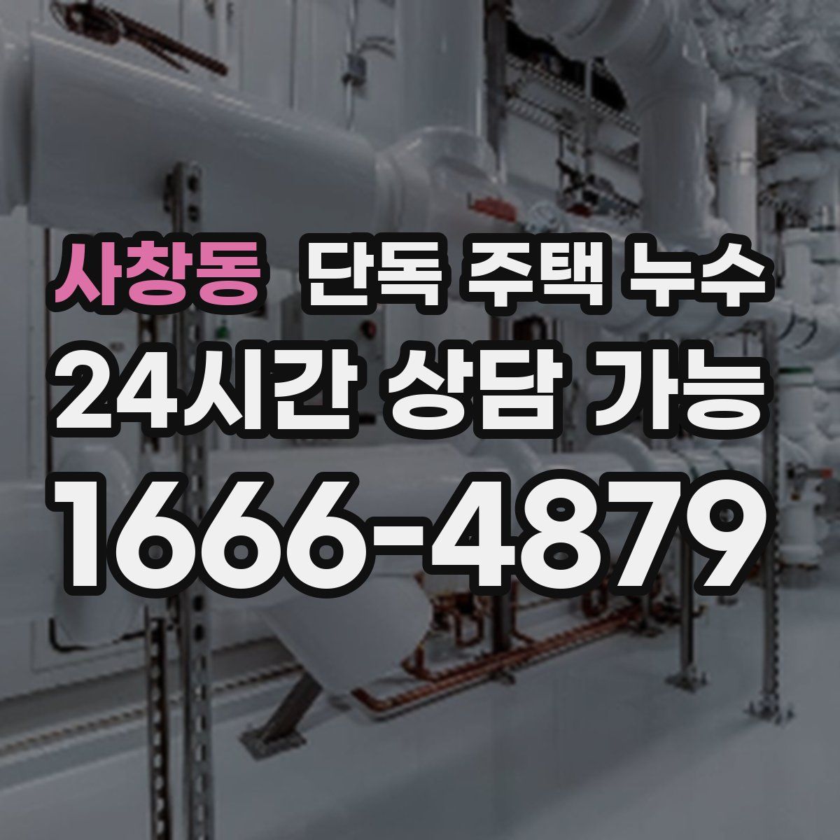 사창동 단독 주택 누수