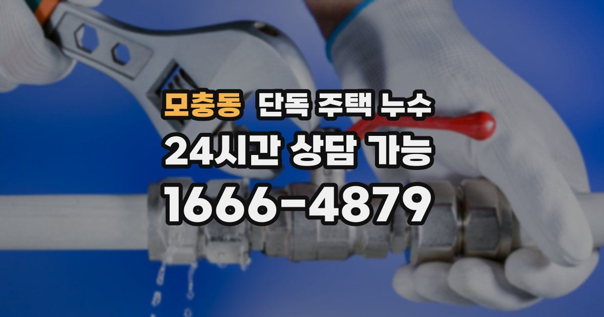모충동 단독 주택 누수