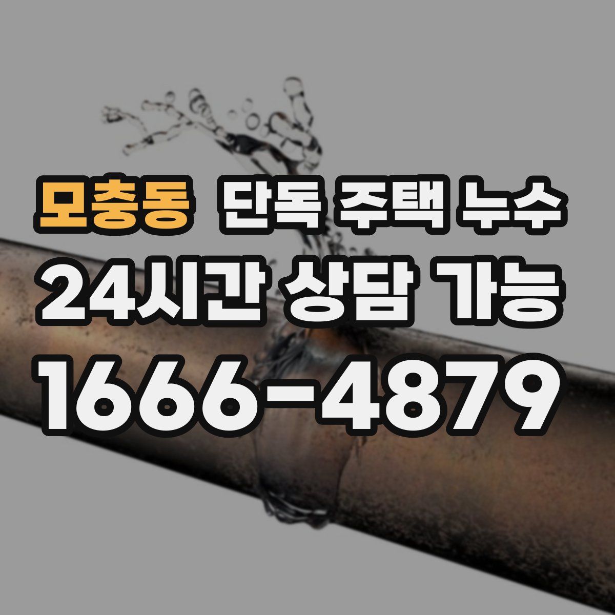 모충동 단독 주택 누수