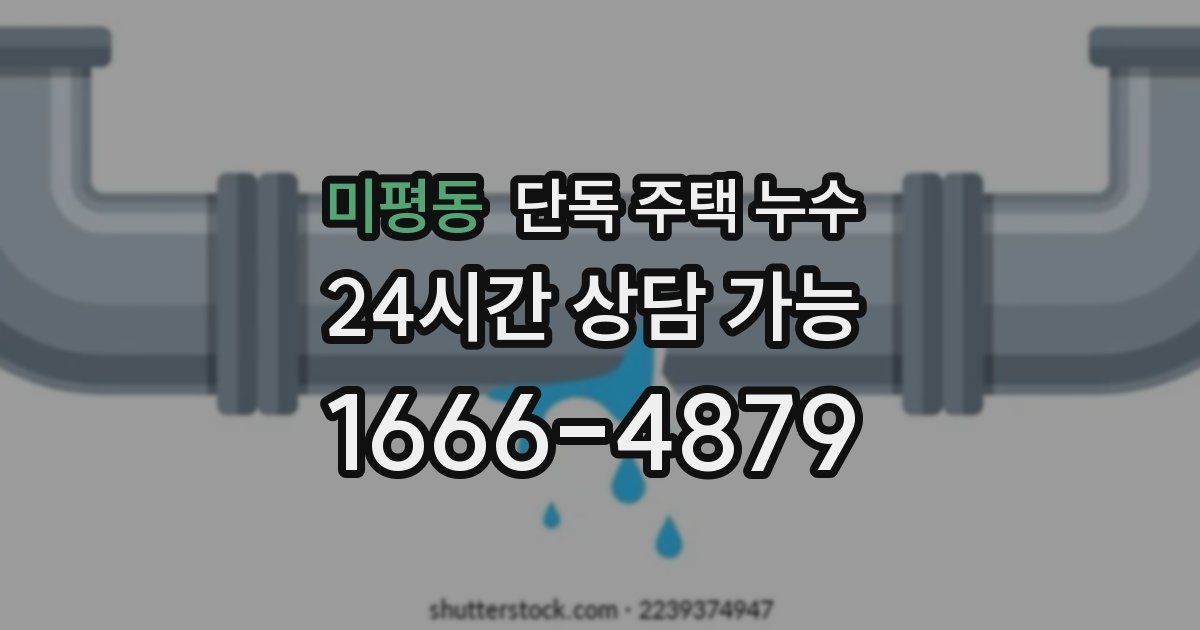 미평동 단독 주택 누수