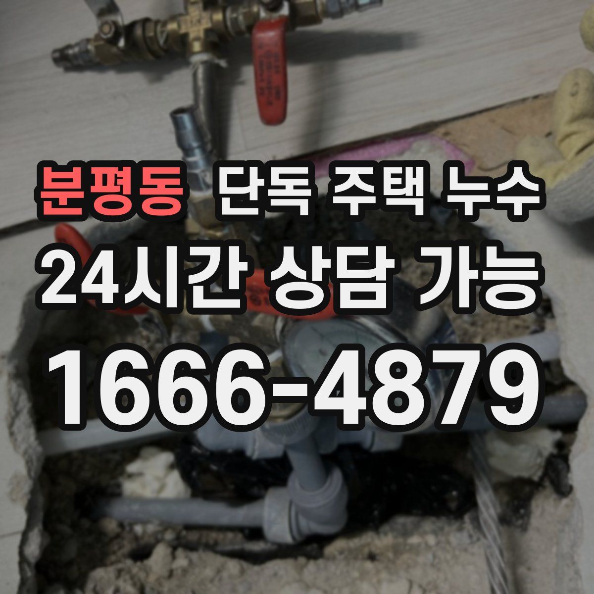 분평동 단독 주택 누수