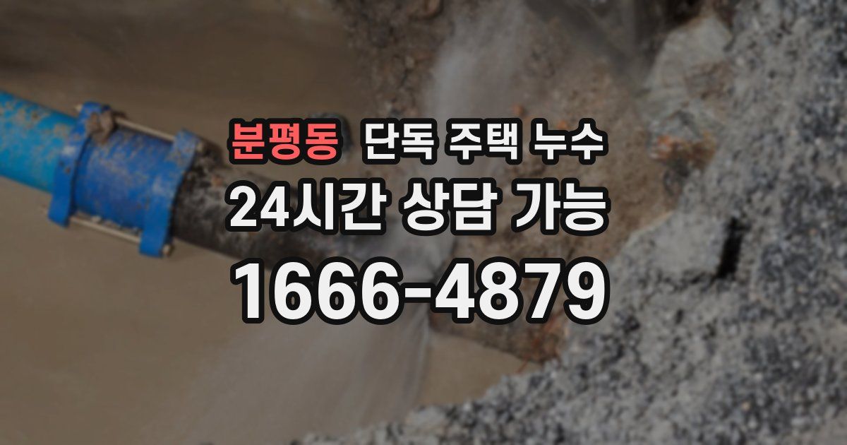 분평동 단독 주택 누수