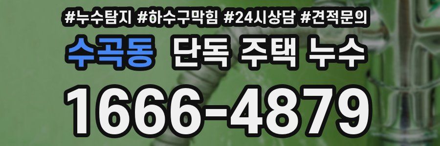 수곡동 단독 주택 누수