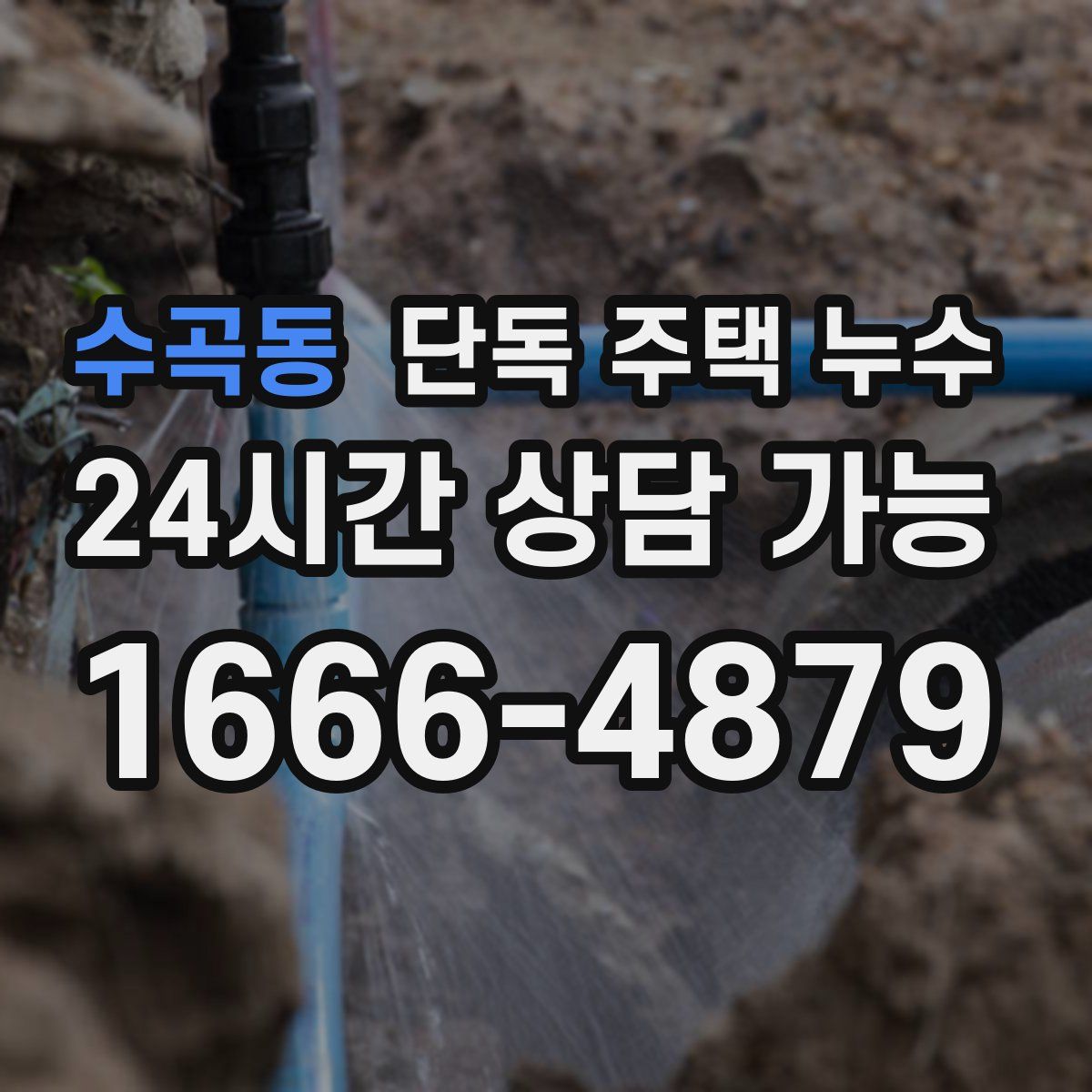 수곡동 단독 주택 누수