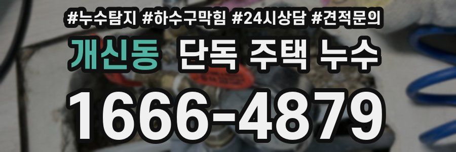 개신동 단독 주택 누수