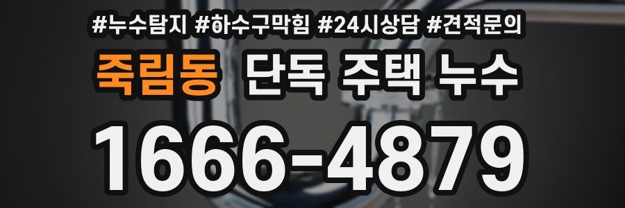 죽림동 단독 주택 누수