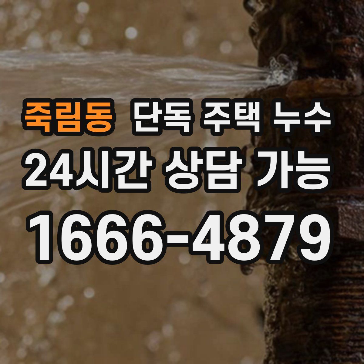 죽림동 단독 주택 누수