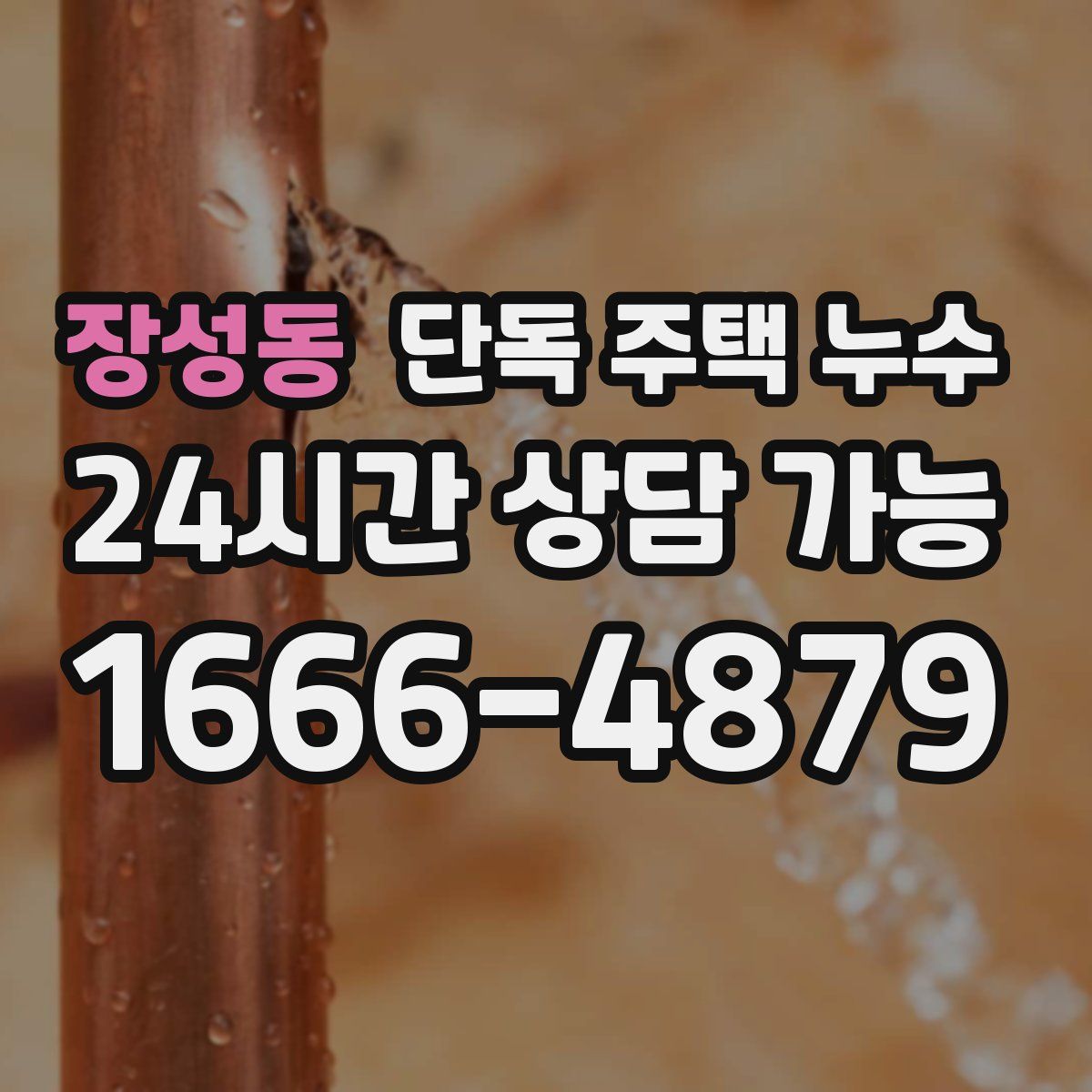 장성동 단독 주택 누수