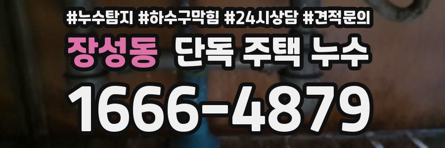 장성동 단독 주택 누수