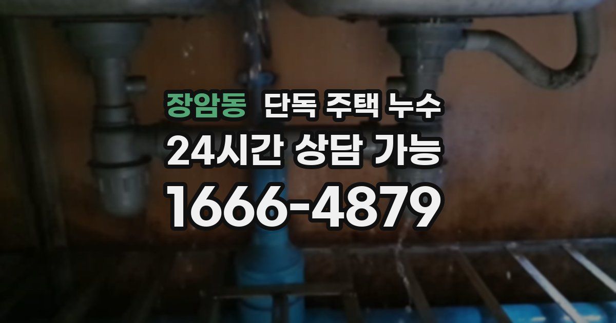 장암동 단독 주택 누수