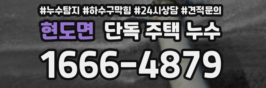 현도면 단독 주택 누수