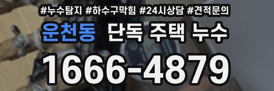 운천동 단독 주택 누수