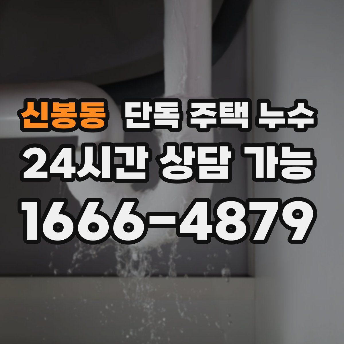 신봉동 단독 주택 누수