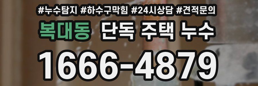 복대동 단독 주택 누수