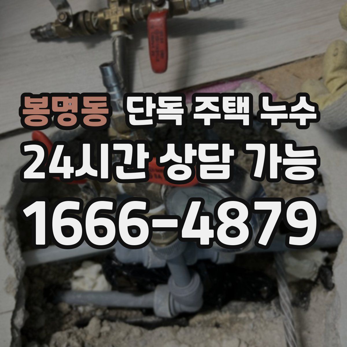 봉명동 단독 주택 누수