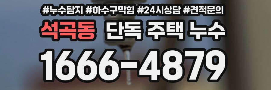 석곡동 단독 주택 누수