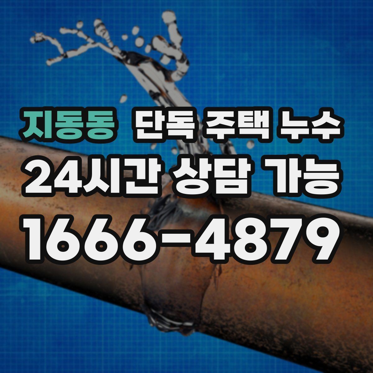 지동동 단독 주택 누수 장마 첫비에 바로 생기는 누수의 특징
