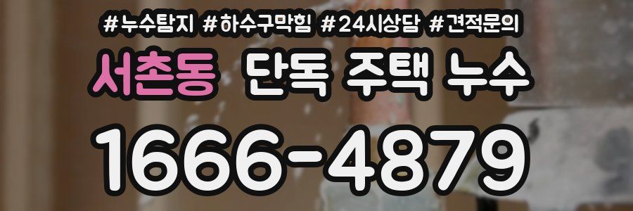 서촌동 단독 주택 누수