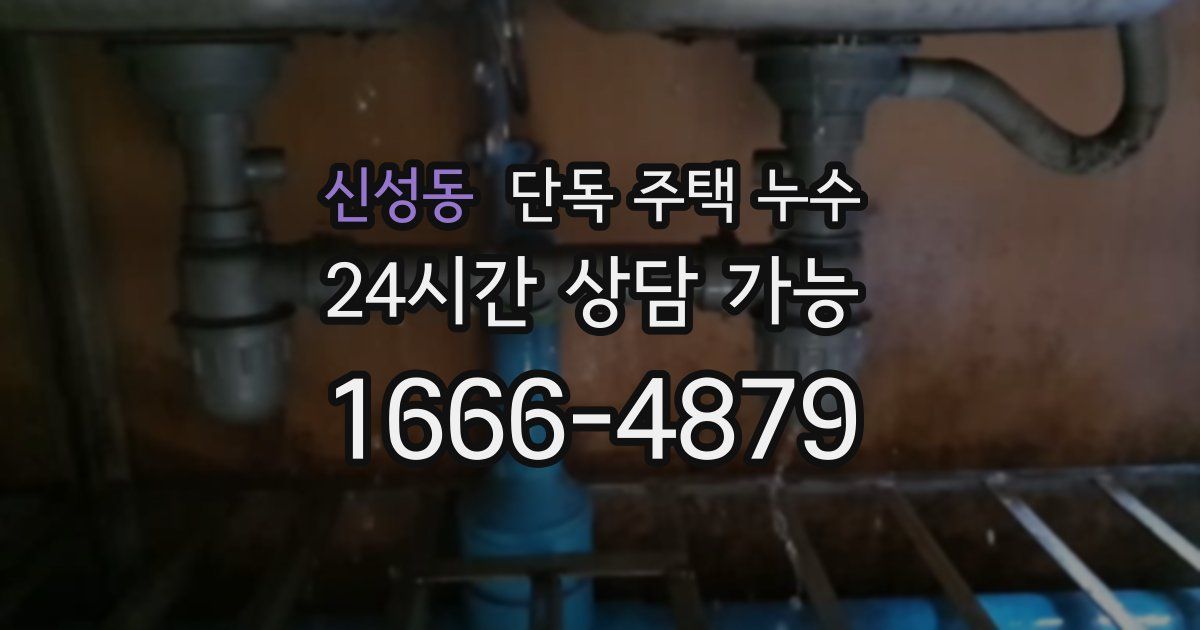 신성동 단독 주택 누수