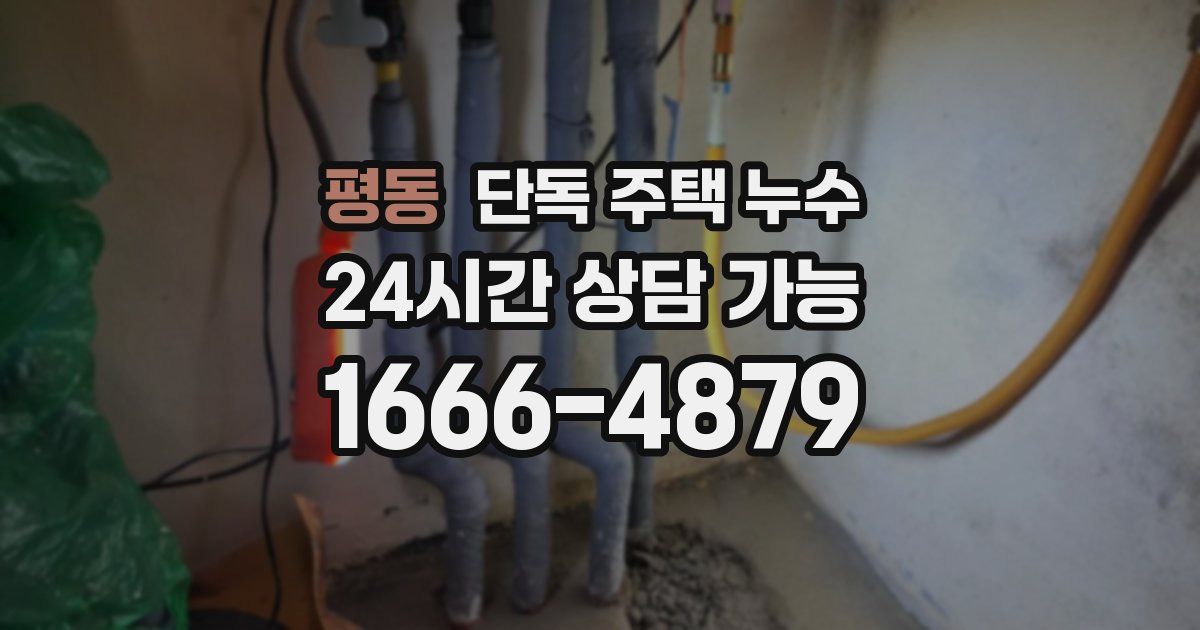 평동 단독 주택 누수