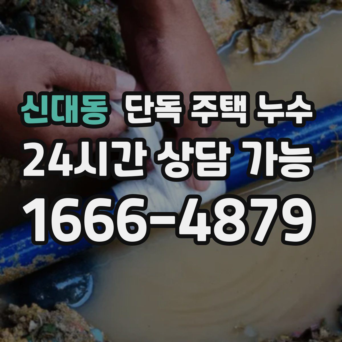 신대동 단독 주택 누수