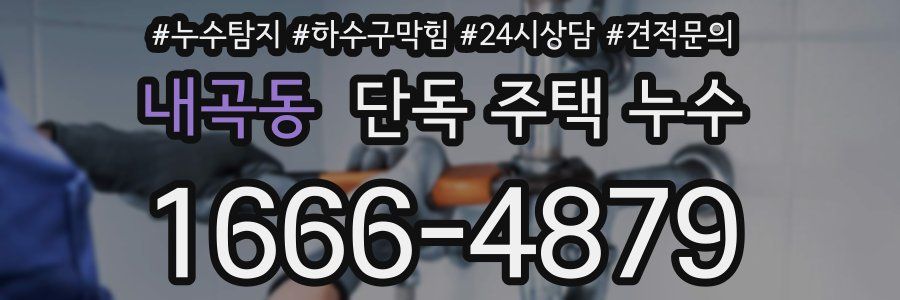 내곡동 단독 주택 누수