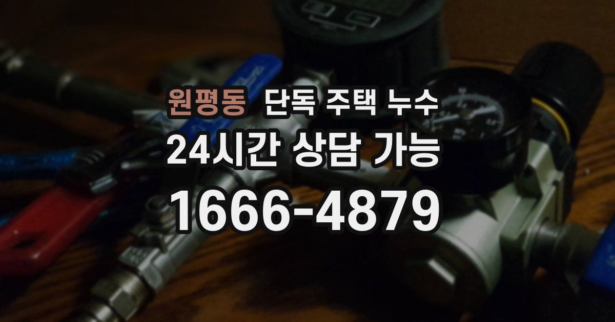 원평동 단독 주택 누수