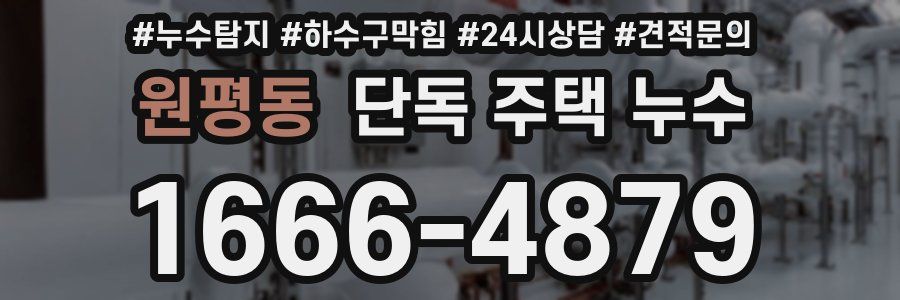 원평동 단독 주택 누수